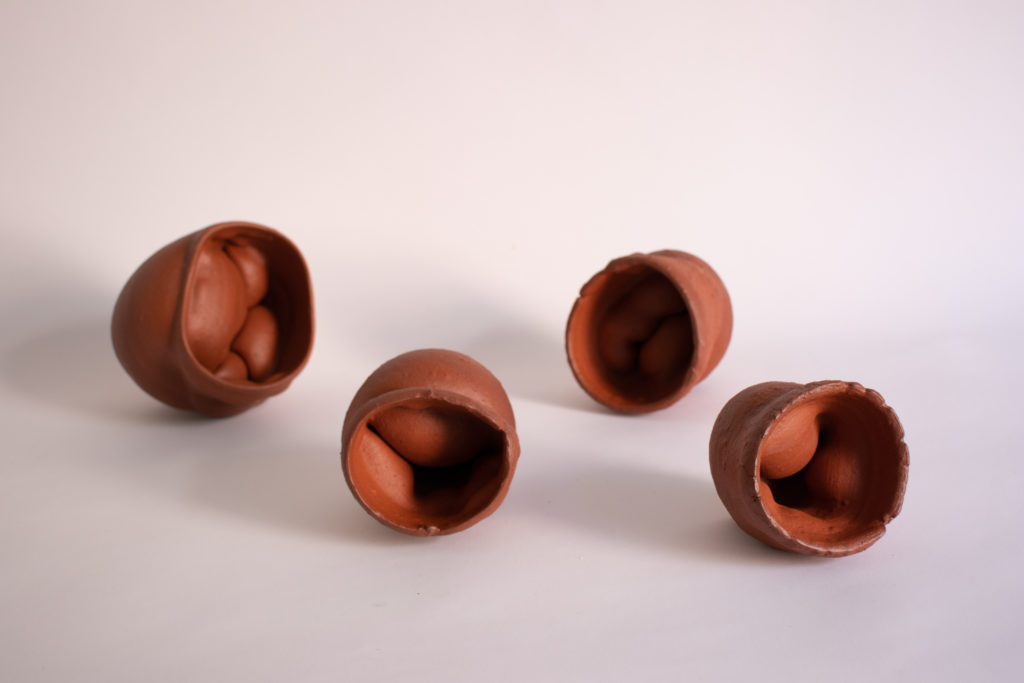 "Moler Collection" N.5