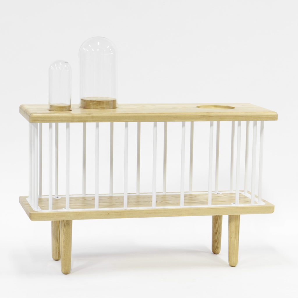 Cabinet from the 1+1+1 series