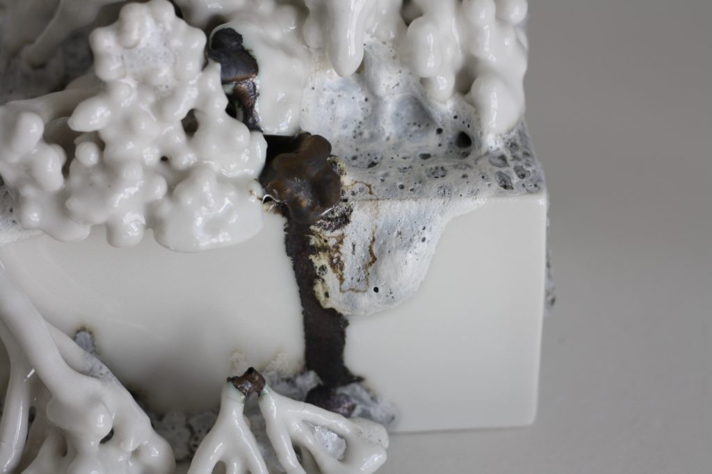 LO and BEHOLD #1 (1/7) — 6