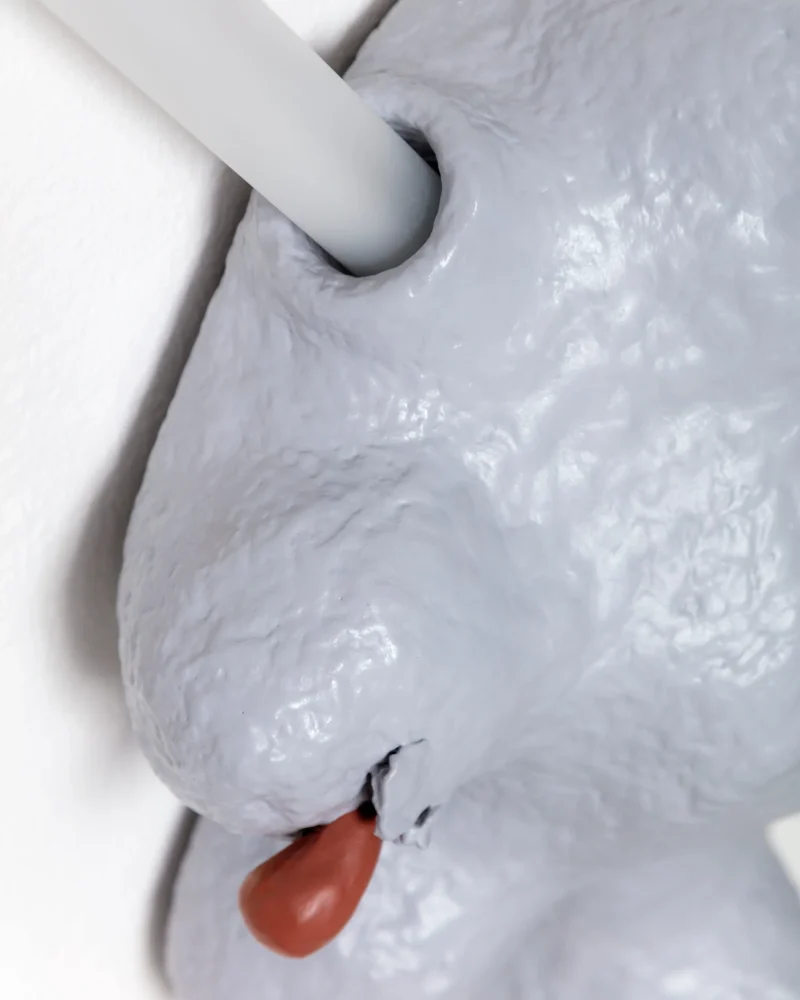 hola-9048-mariadela-fluid-1