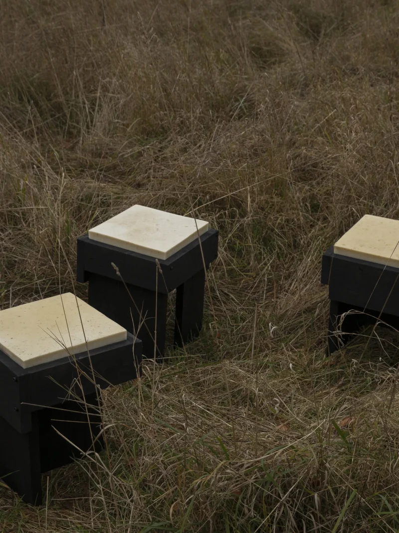 hola-9048-mariadela-fluid-1