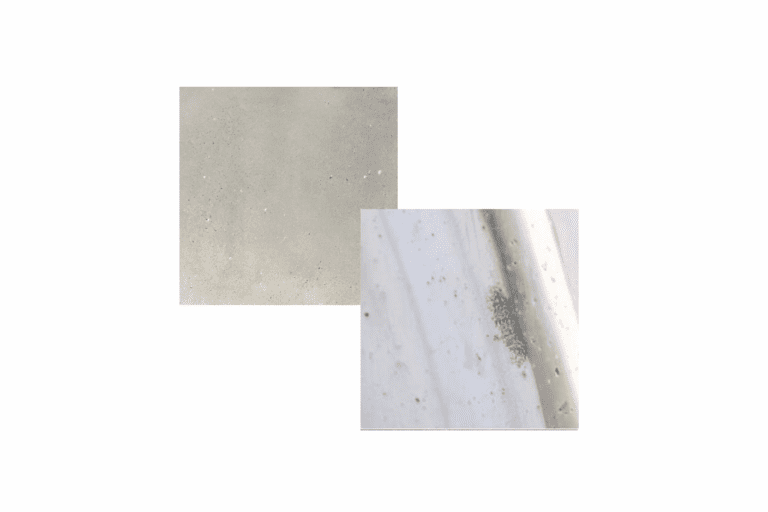 Wishbone Dining, ECC — 6