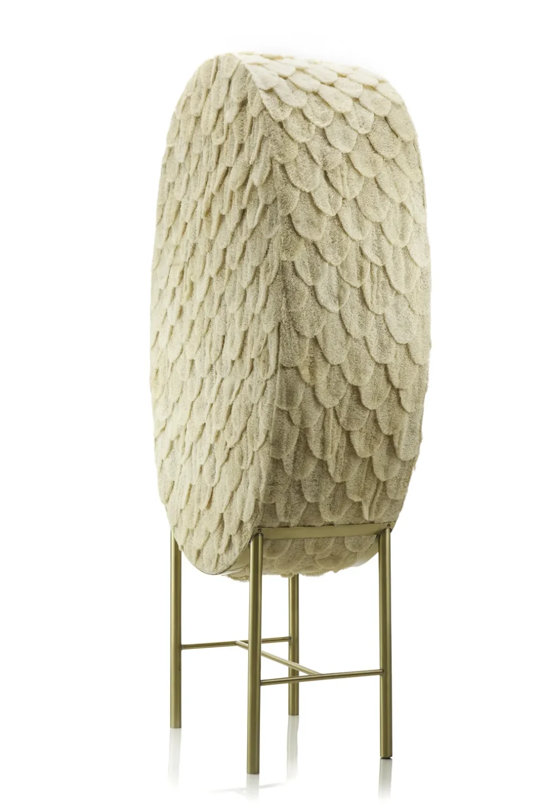 Bucha Soberana Cabinet — 4