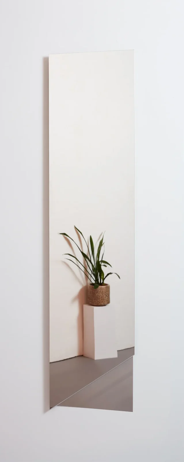 Stainless Steel Mirror - Long — 2