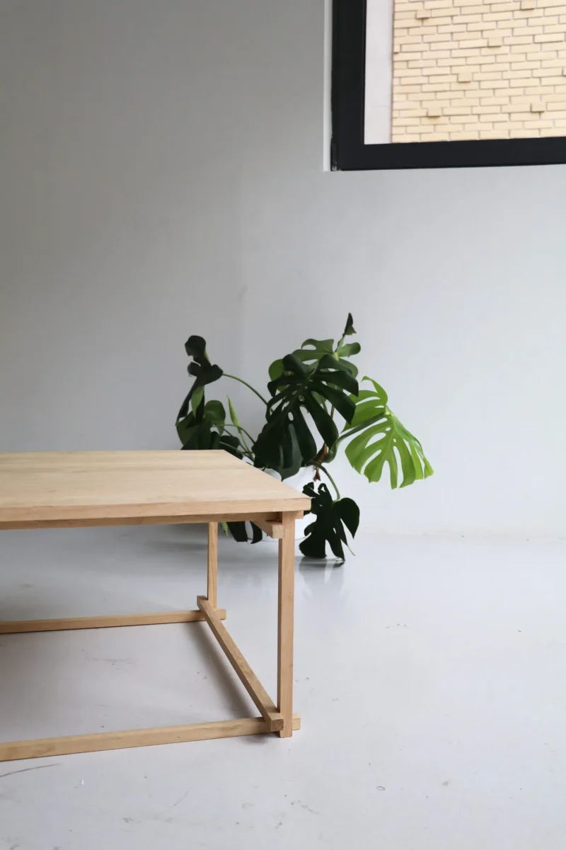 hola-9048-mariadela-fluid-1