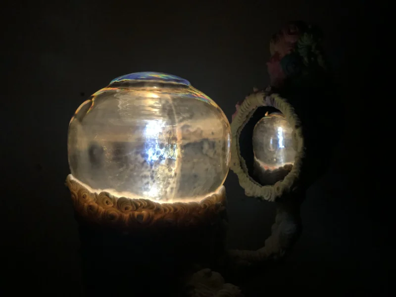 hola-9048-mariadela-fluid-1