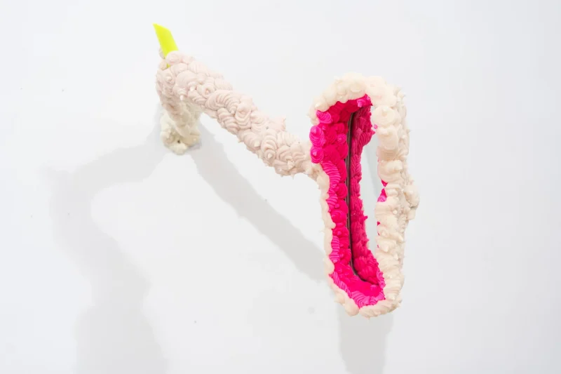 hola-9048-mariadela-fluid-1