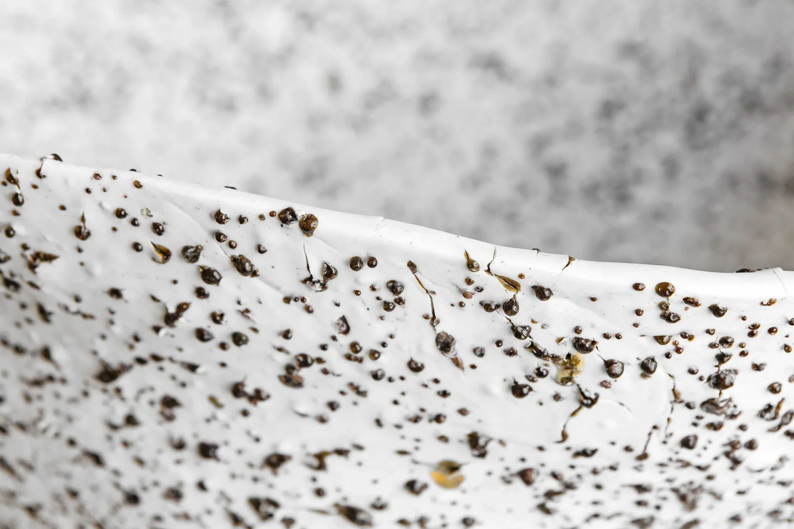 Telluride - Stracciatella Big Bowl — 3