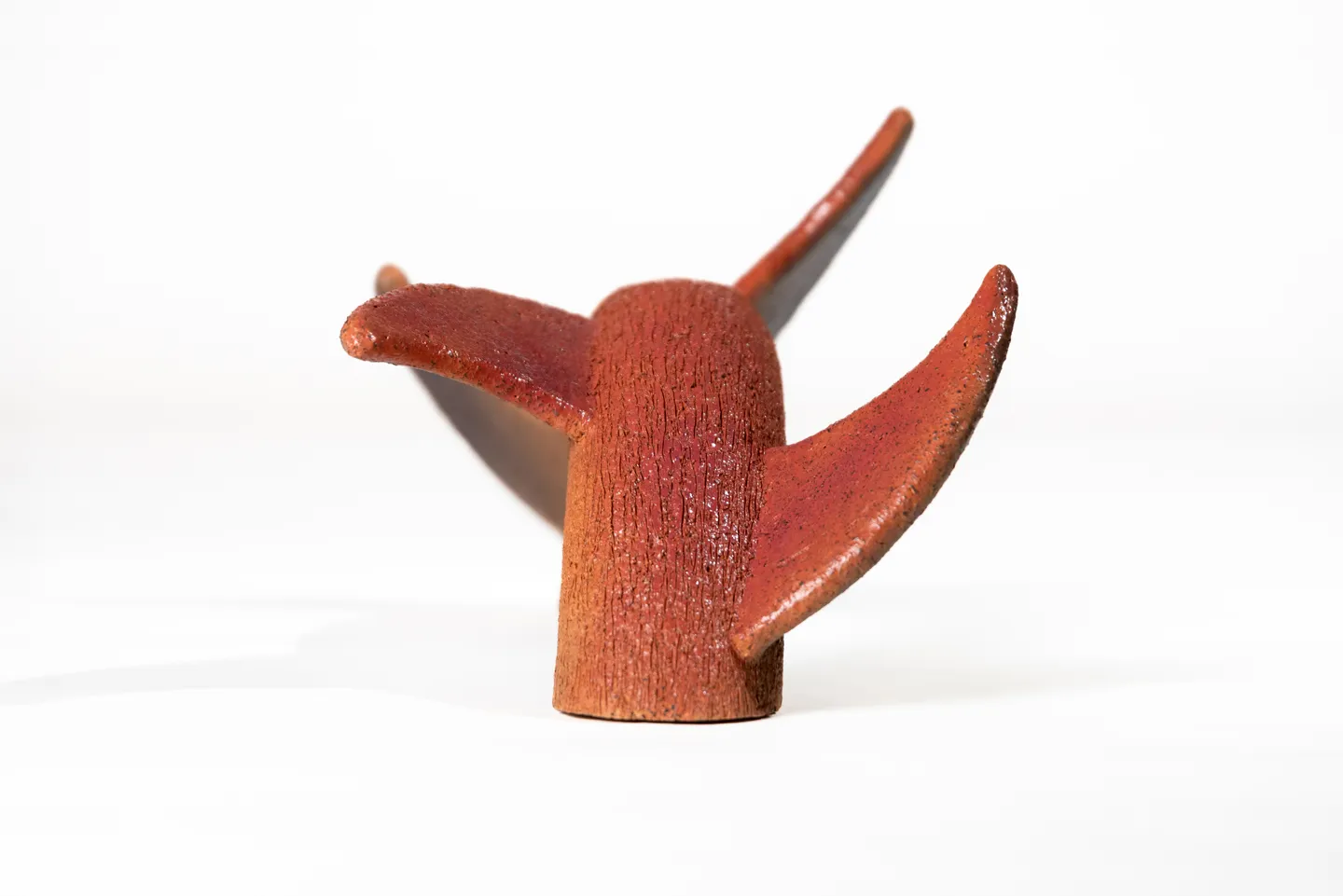 Dearth - Dolphin — 2