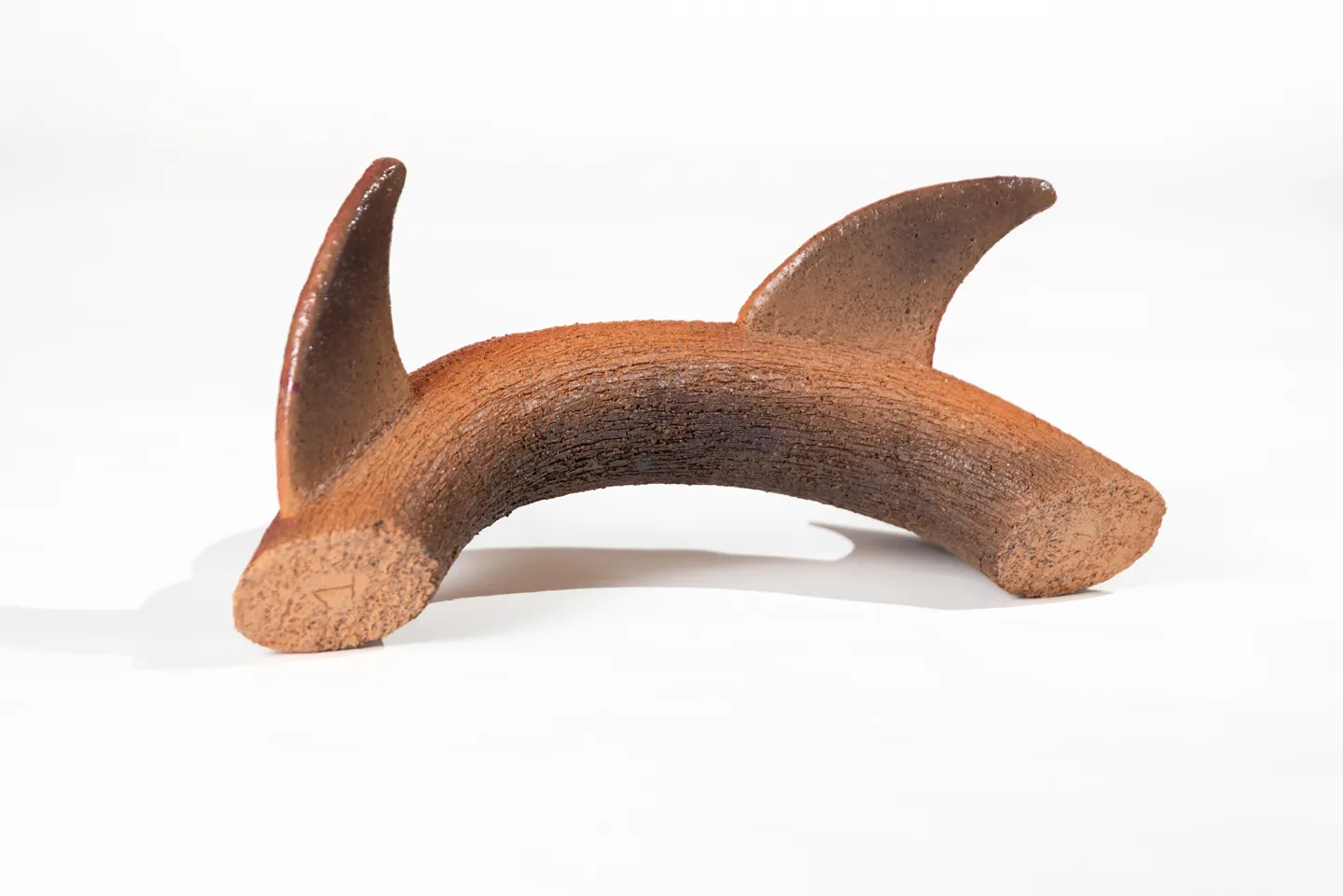Dearth - Dolphin — 4