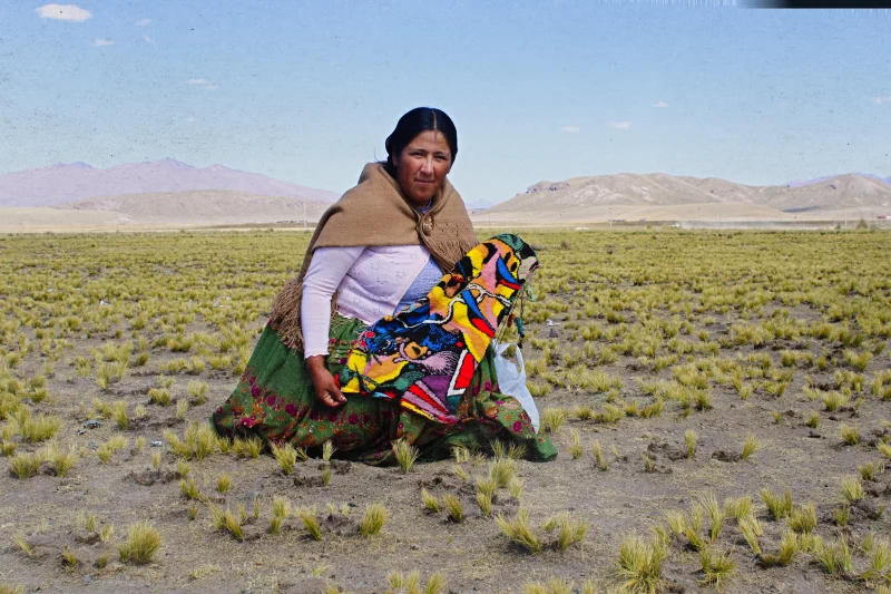 hola-9048-mariadela-fluid-1