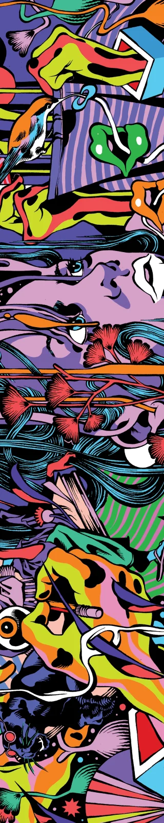 Bicicleta Sem Freio Scarf — 7