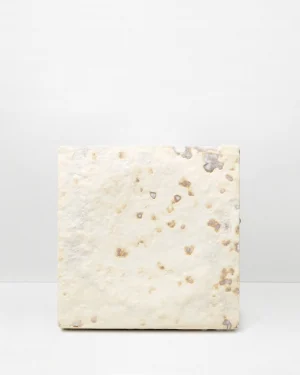 Mycelium Small Wall Panel