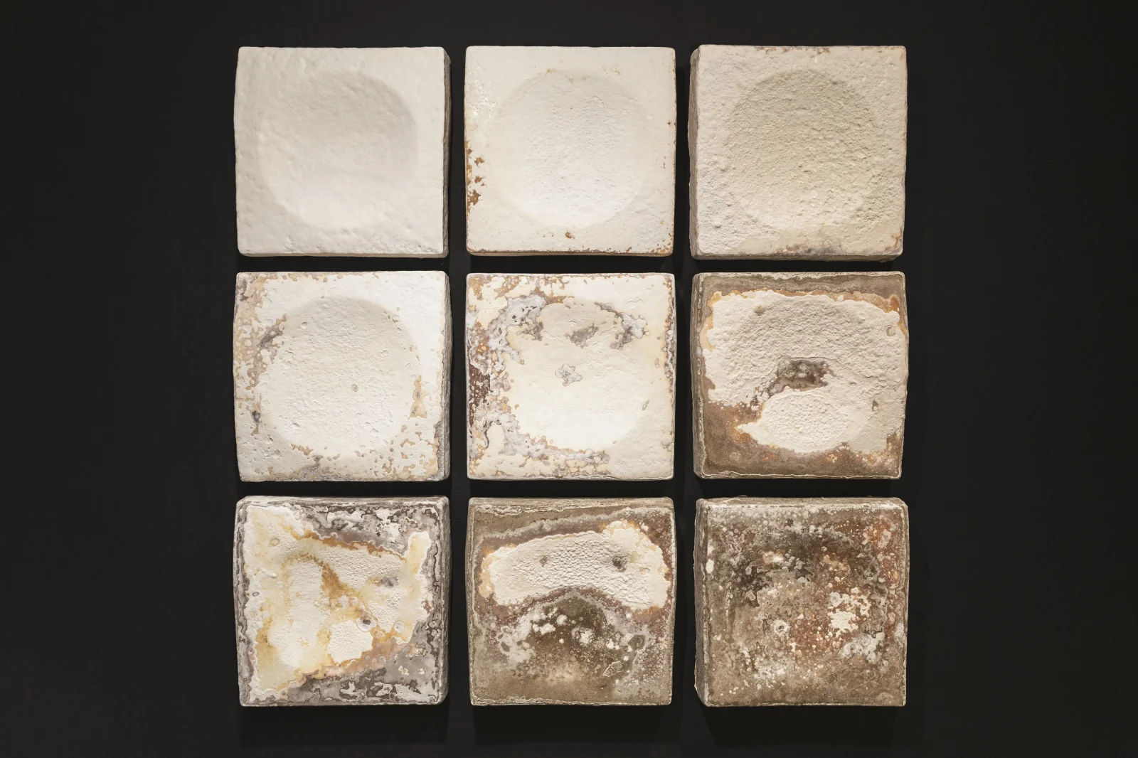 Mycelium Small Wall Panel — 3