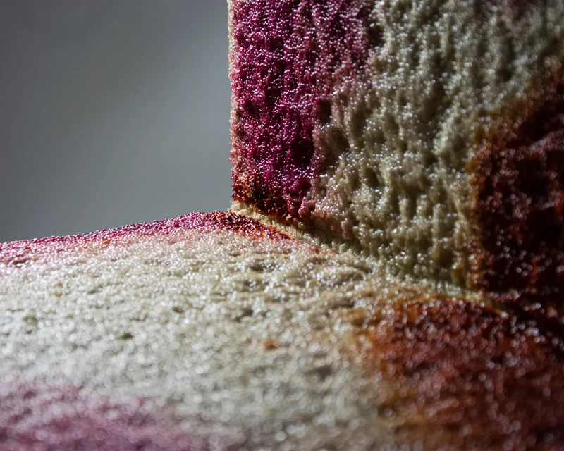 hola-9048-mariadela-fluid-1