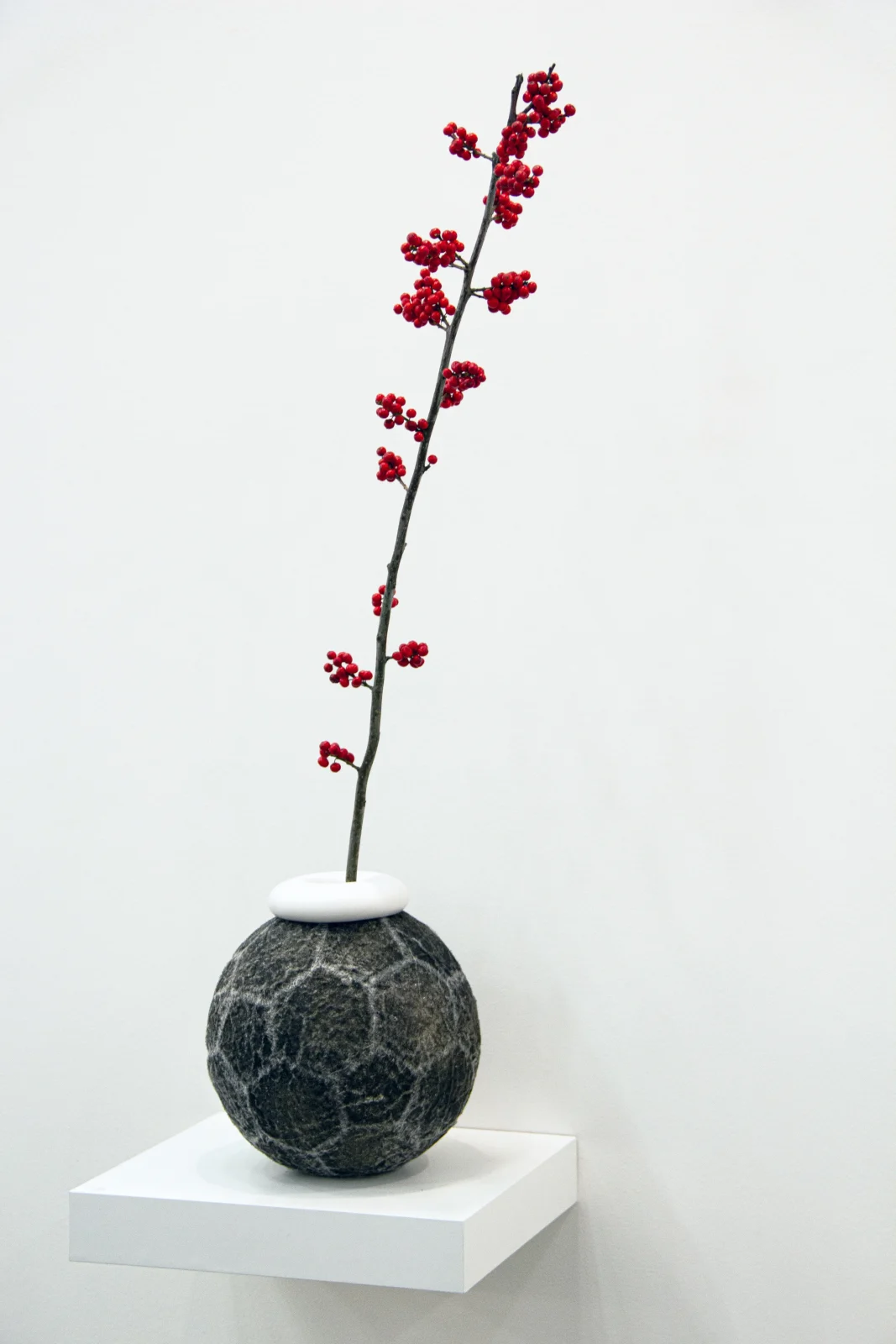 Sports at Home / Ball Vases III — 5