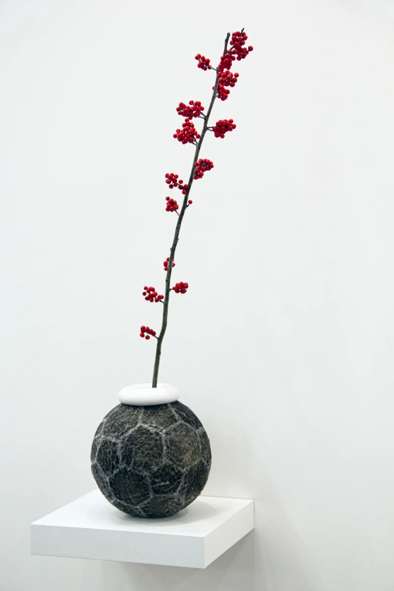 hola-9048-mariadela-fluid-1