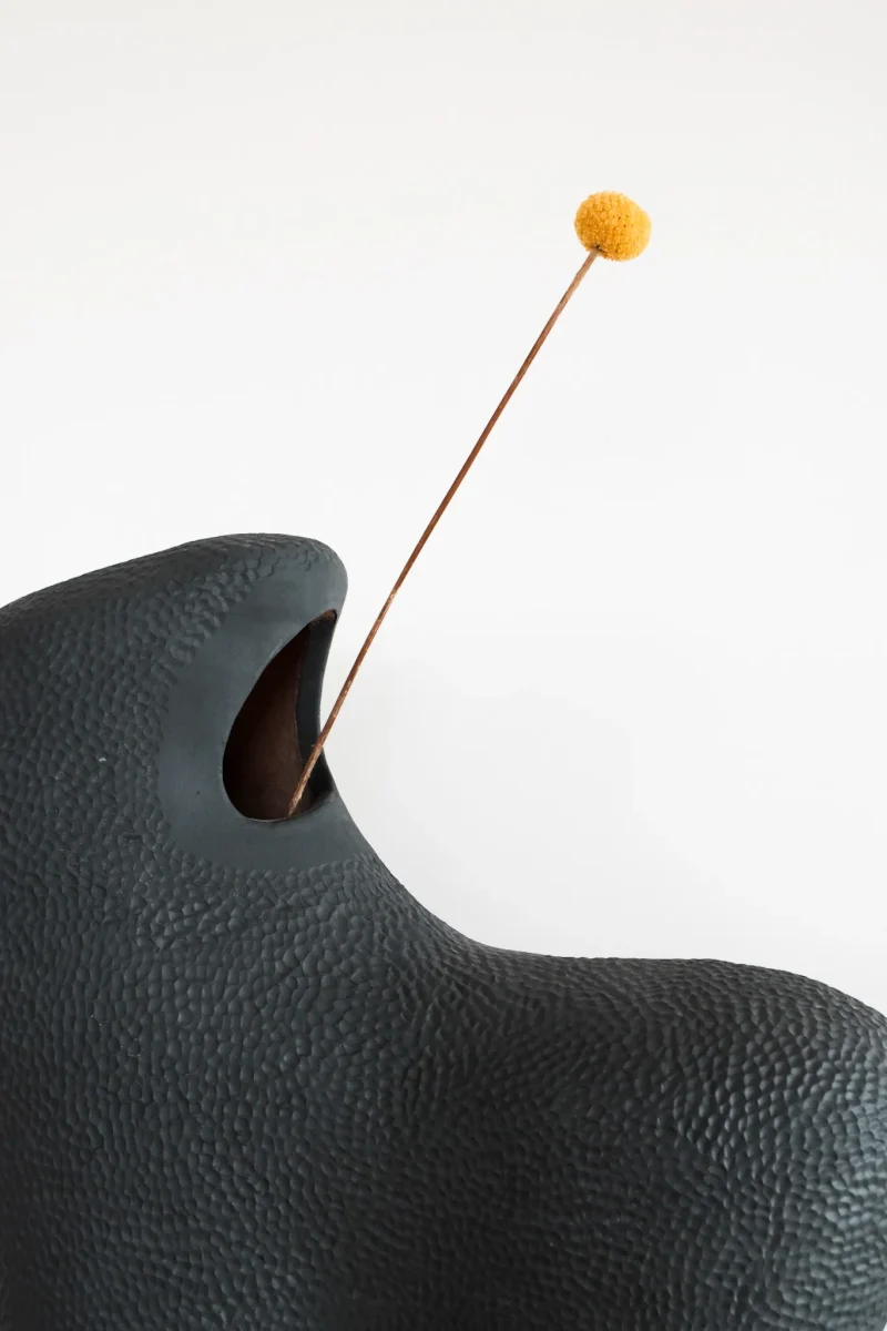 hola-9048-mariadela-fluid-1