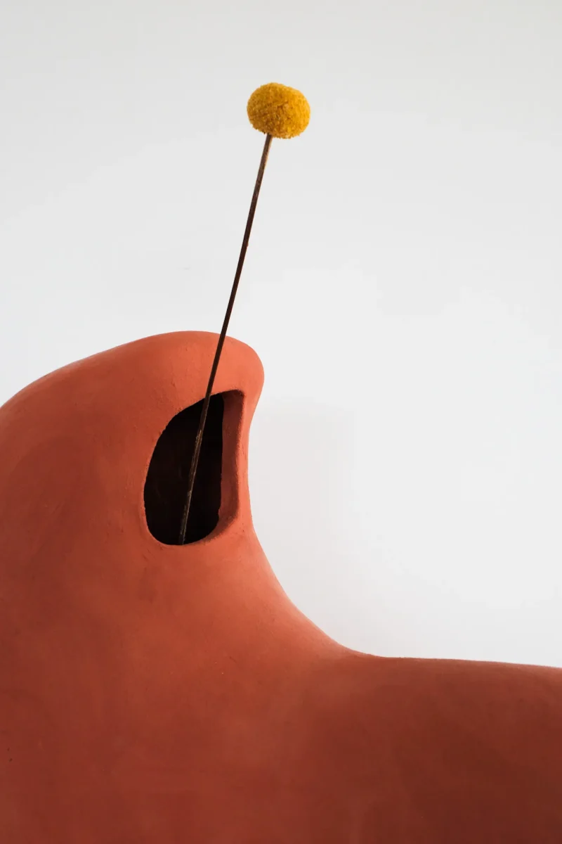 hola-9048-mariadela-fluid-1