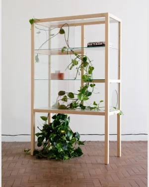 Simbiose Glass Cabinet