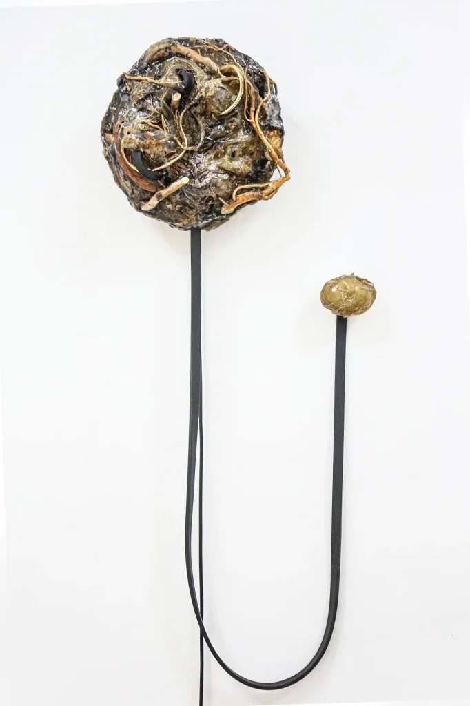 Siamese Twins Ii Wall Lamps — 2