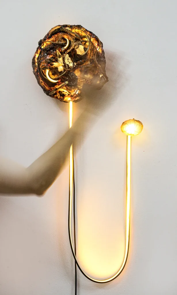 Siamese Twins Ii Wall Lamps — 3