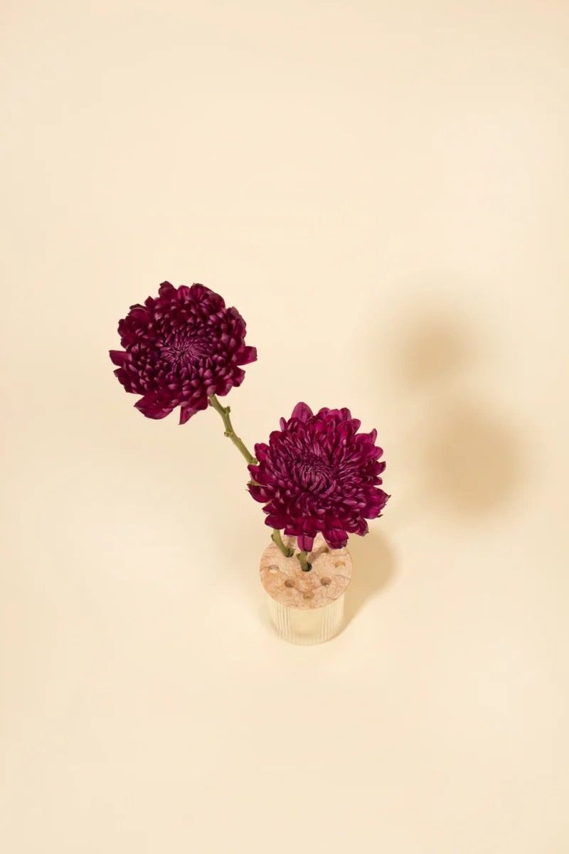 hola-9048-mariadela-fluid-1