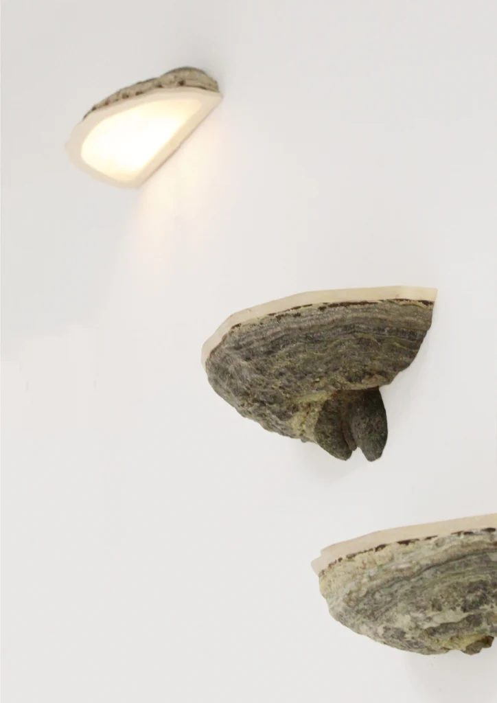 Ticka Fungi Wall Shelf by Olle Sahlqvist in turned birch wood