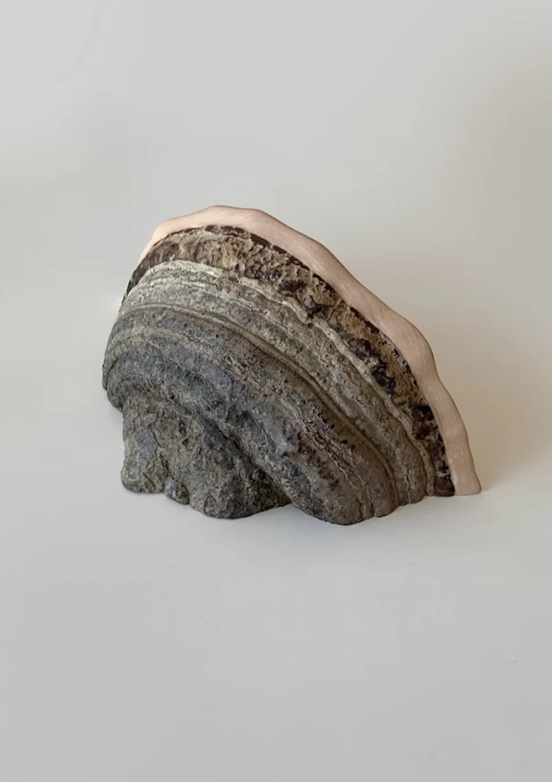 hola-9048-mariadela-fluid-1