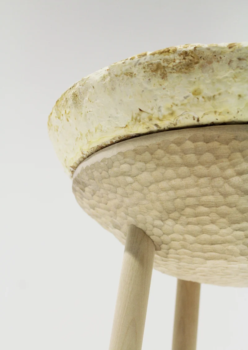 hola-9048-mariadela-fluid-1