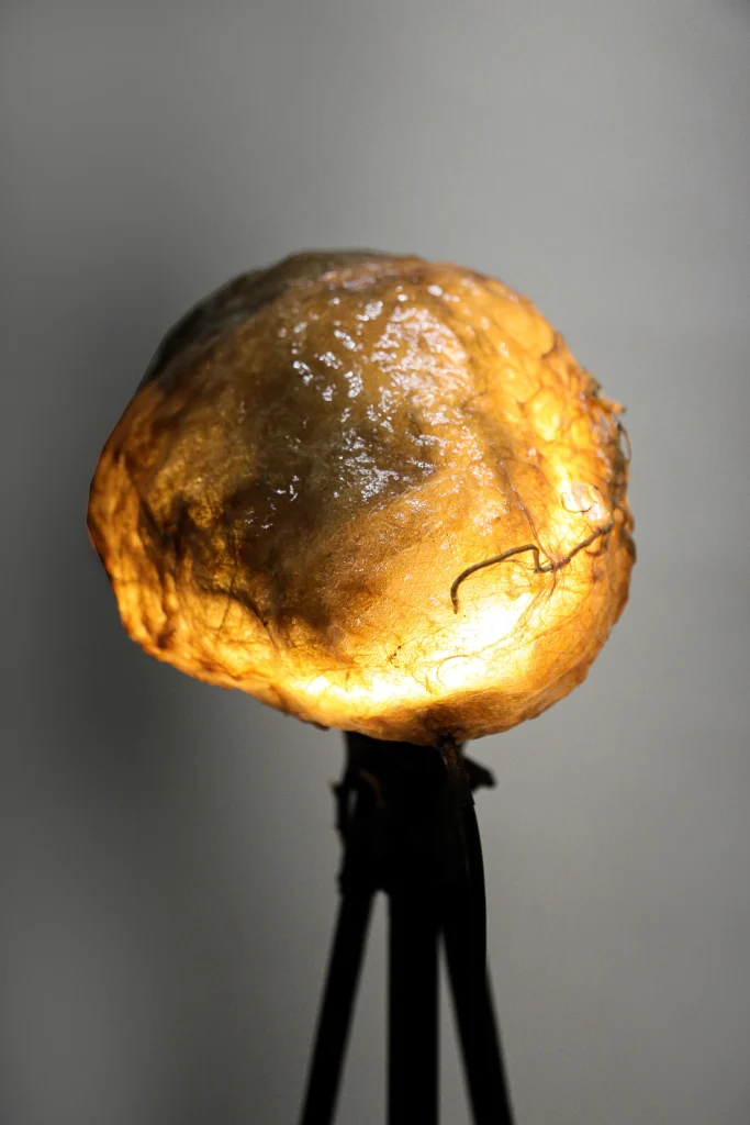 Microbiome I Floor Lamp in Bio Plastic — 2