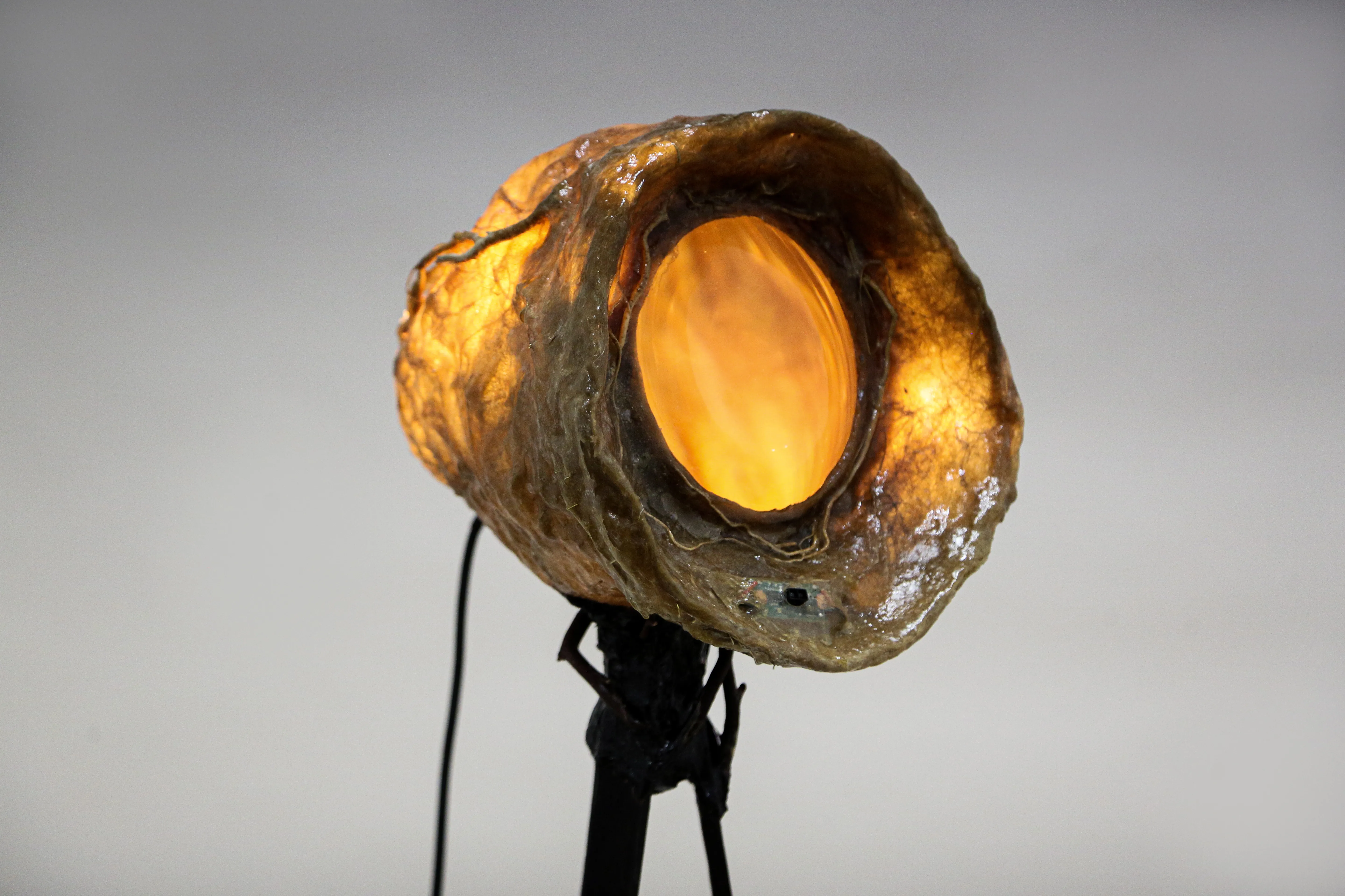 Microbiome Floor Lamp