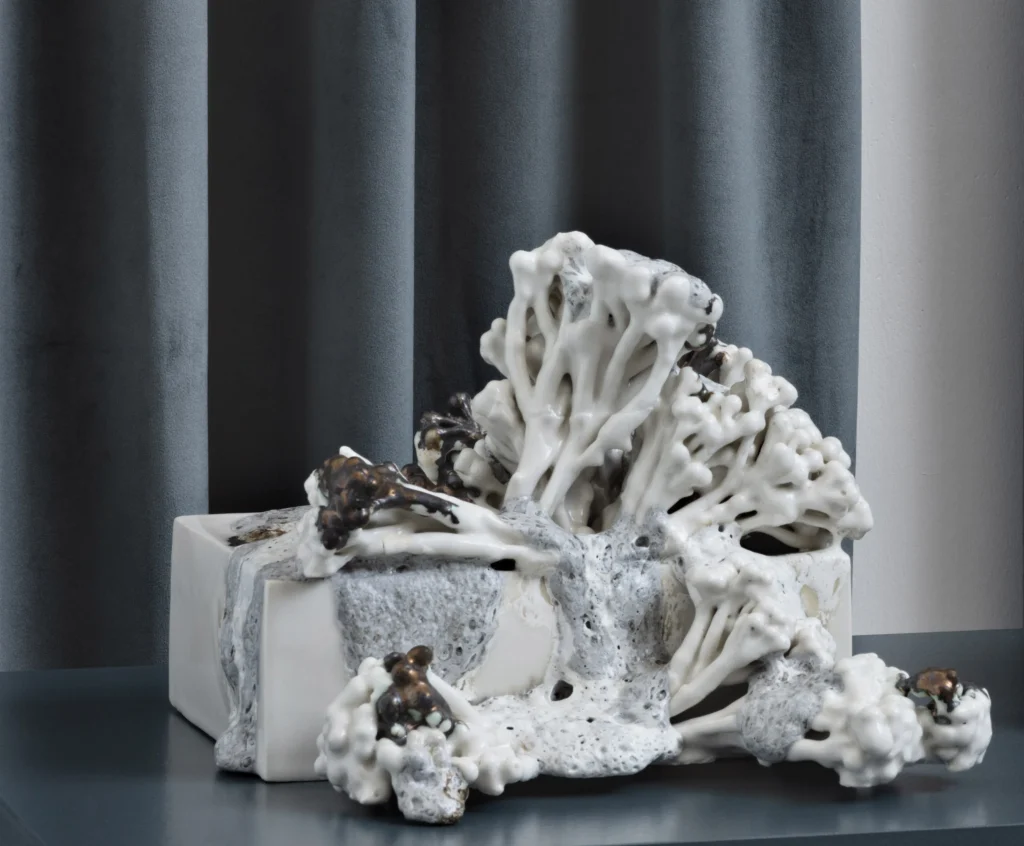 LO and BEHOLD No. 4 porcelain ceramic tableau by Signe Fensholt
