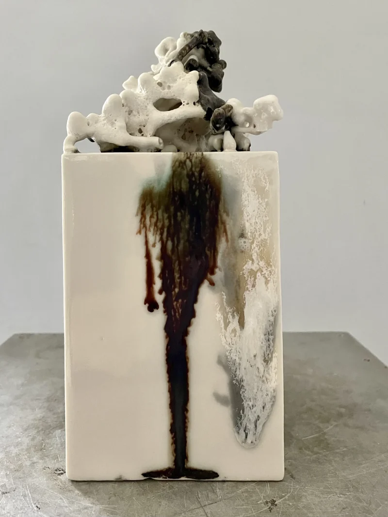 hola-9048-mariadela-fluid-1