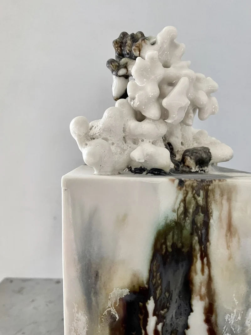 hola-9048-mariadela-fluid-1