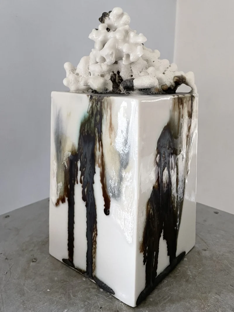 hola-9048-mariadela-fluid-1