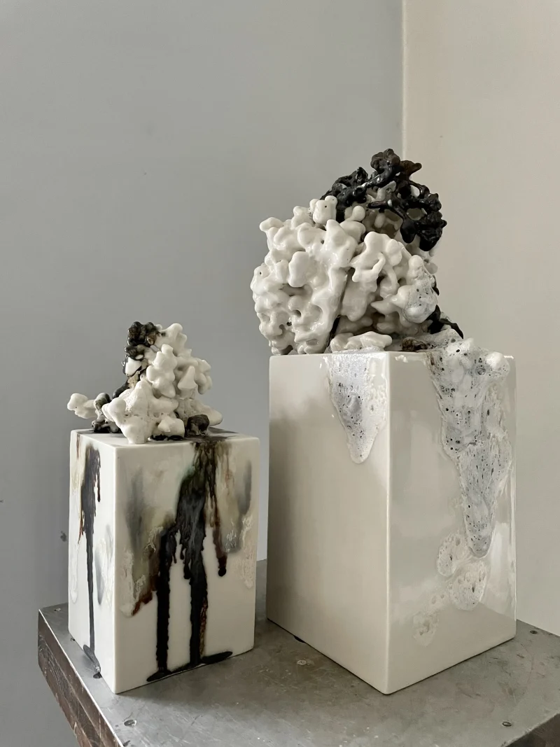 hola-9048-mariadela-fluid-1