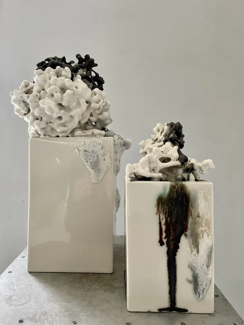 hola-9048-mariadela-fluid-1