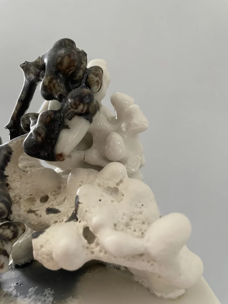 hola-9048-mariadela-fluid-1