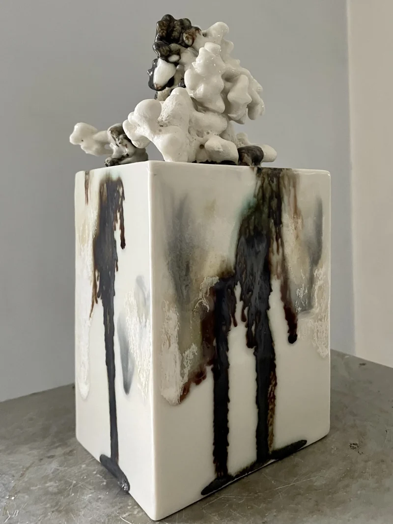 hola-9048-mariadela-fluid-1