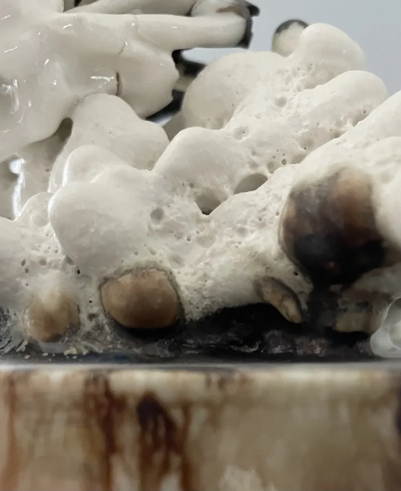 hola-9048-mariadela-fluid-1