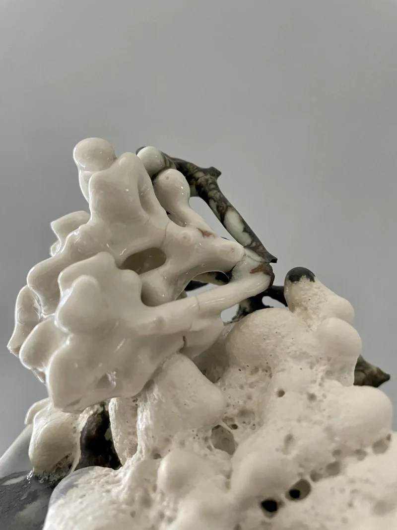 hola-9048-mariadela-fluid-1