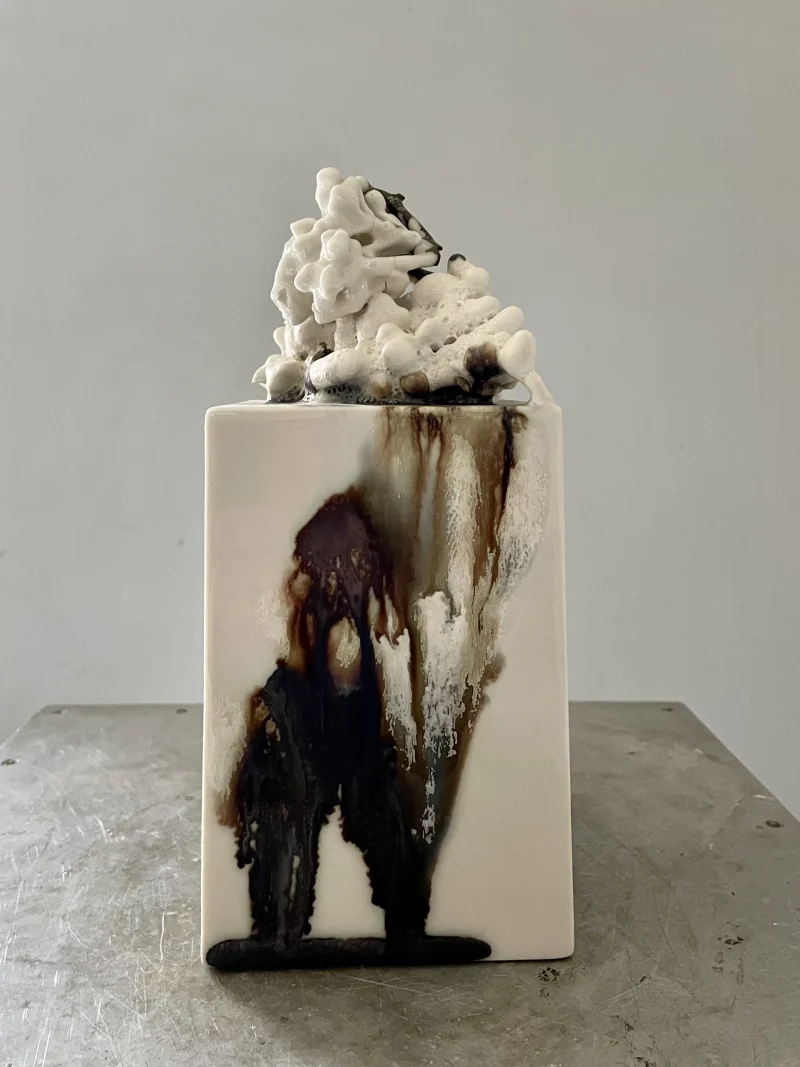 hola-9048-mariadela-fluid-1