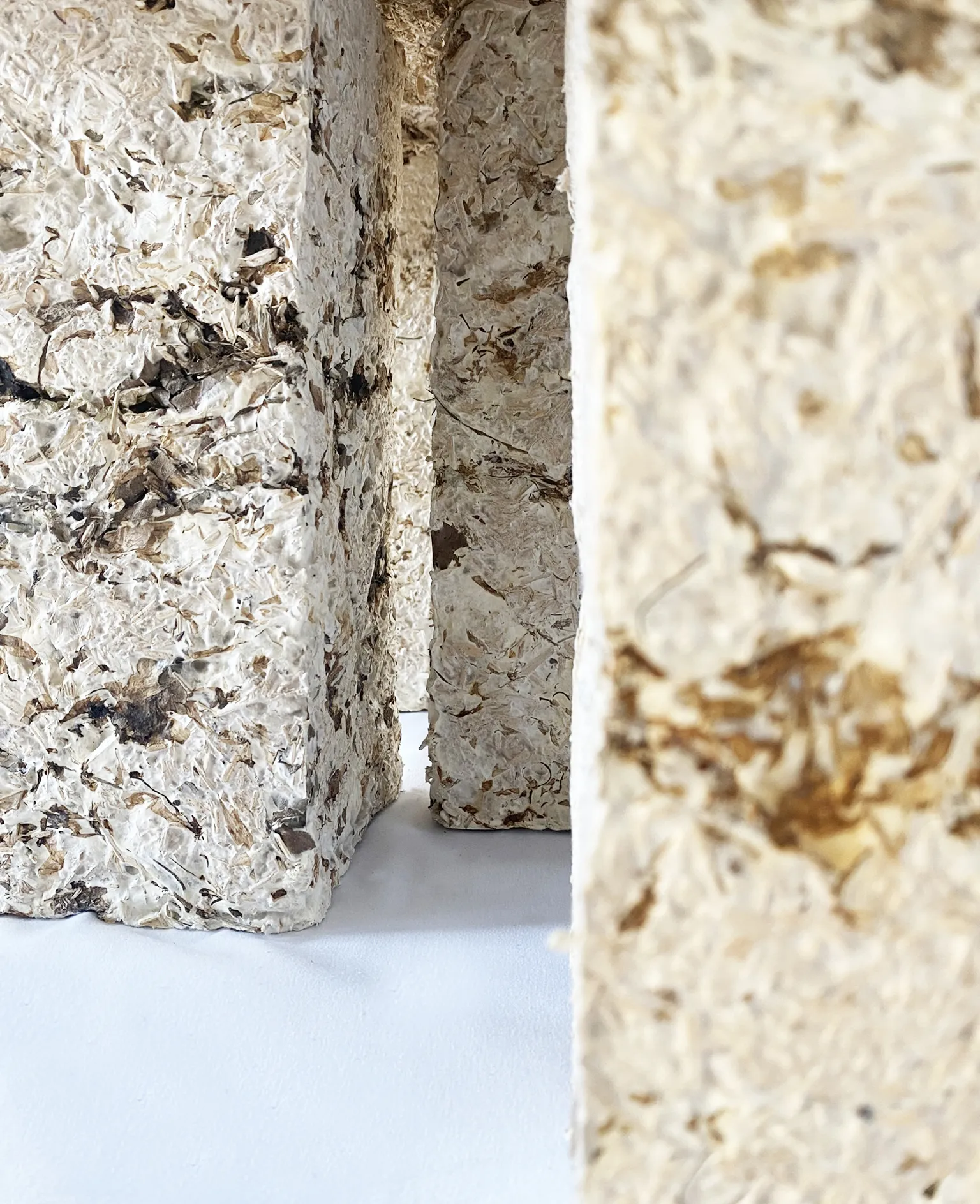 Sustainable Mycelium Coffee Table