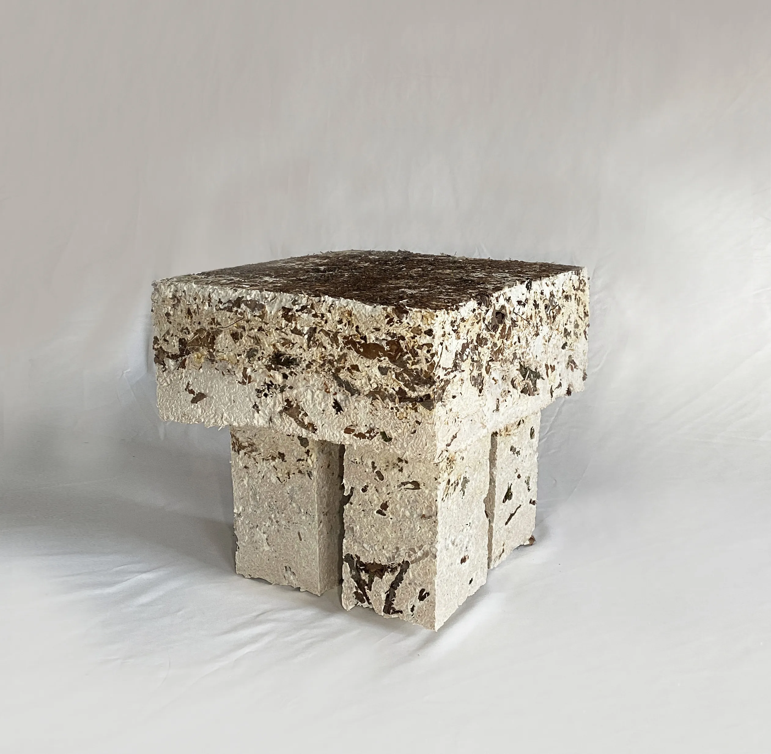 Sustainable Mycelium Side Table