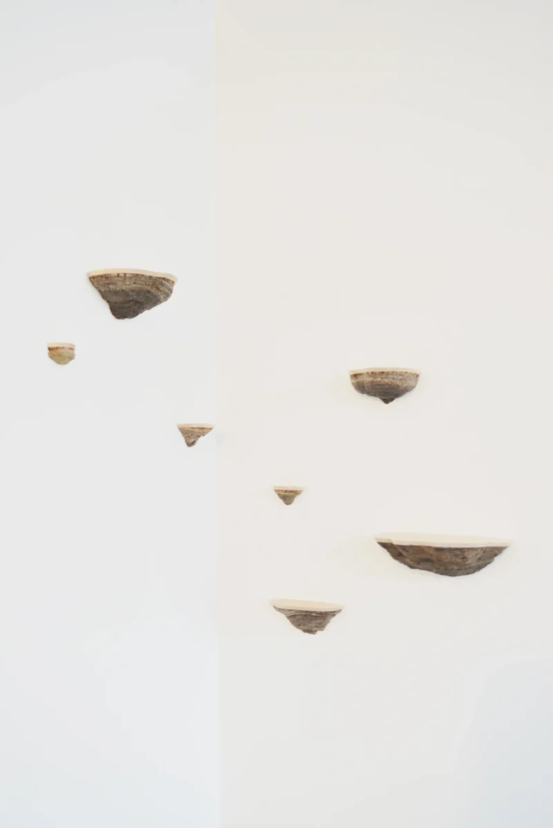 hola-9048-mariadela-fluid-1