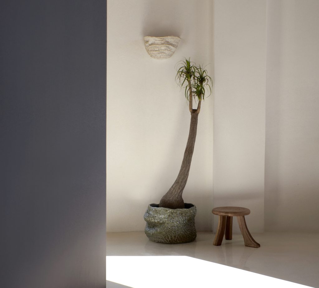 Casa Planter No1 — 4