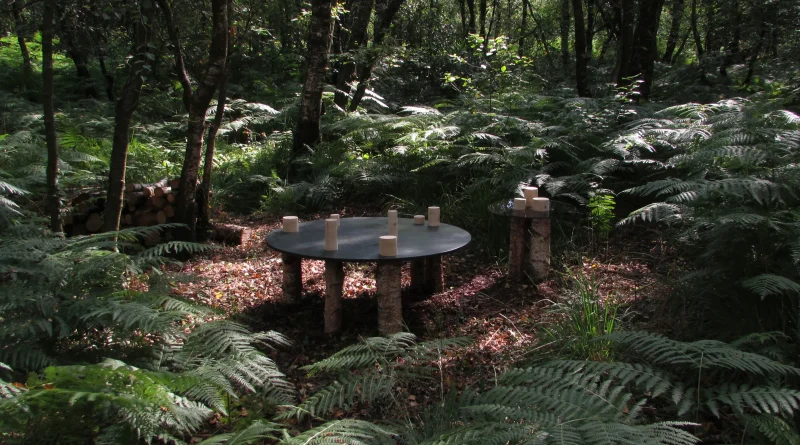 hola-9048-mariadela-fluid-1