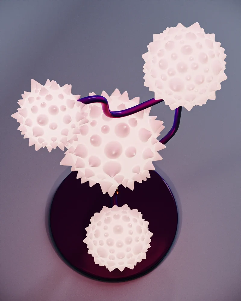 hola-9048-mariadela-fluid-1