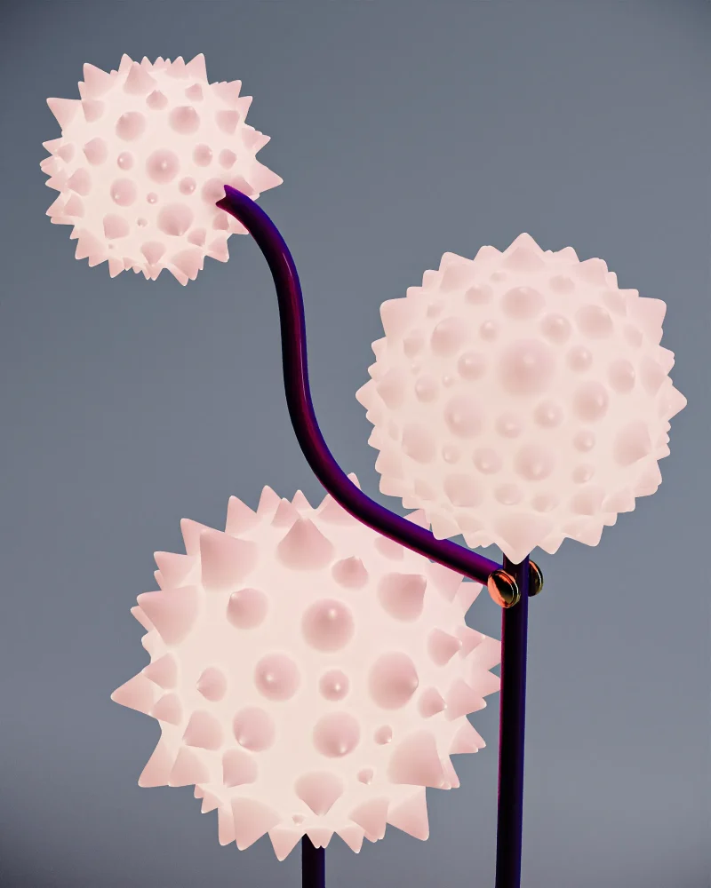 hola-9048-mariadela-fluid-1